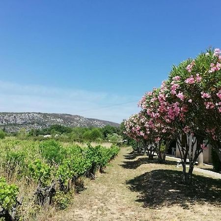 Maison A Louer En Ardeche Du Sud Saint-Martin-dʼArdèche Exteriör bild